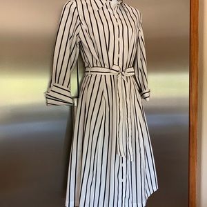 346 Brooks Brothers shirt dress